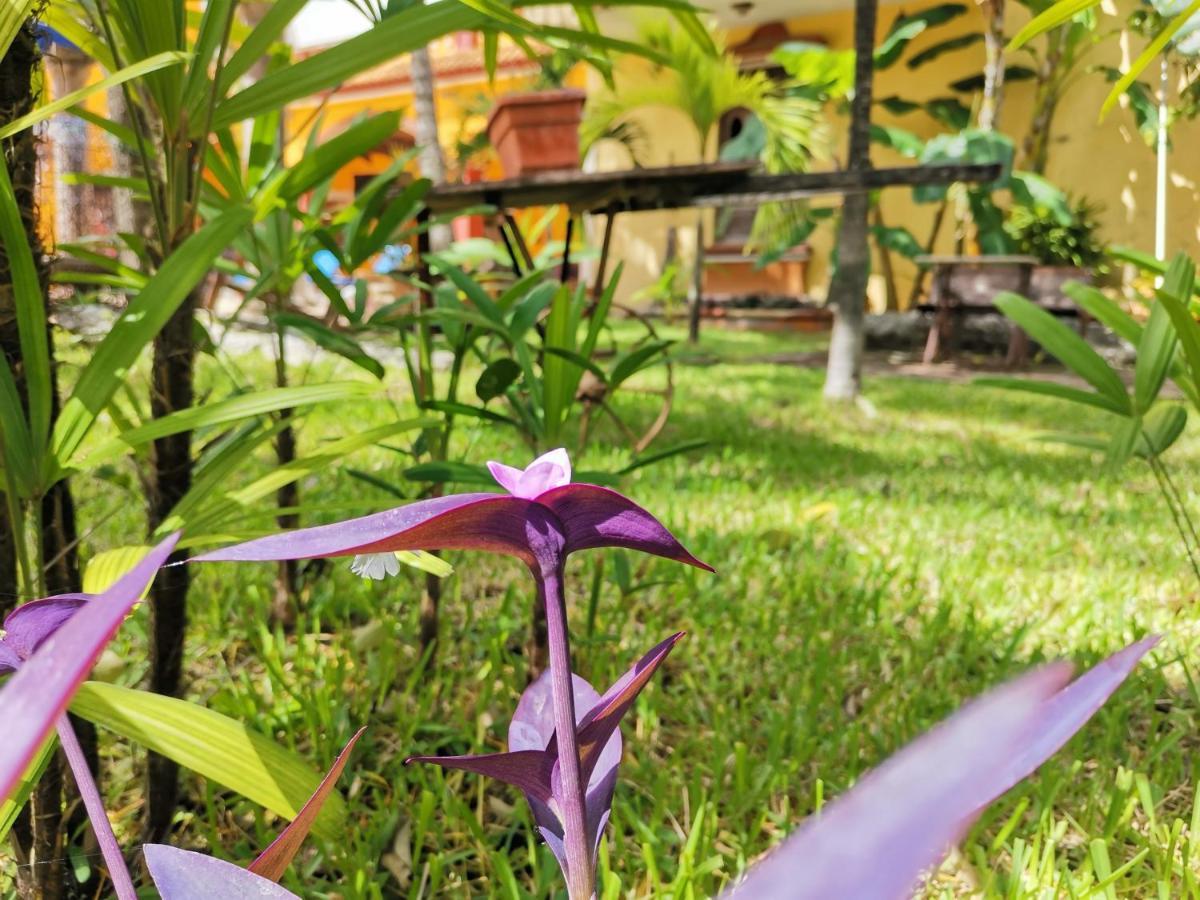 Hacienda Valentina Hotell Playa del Carmen Eksteriør bilde